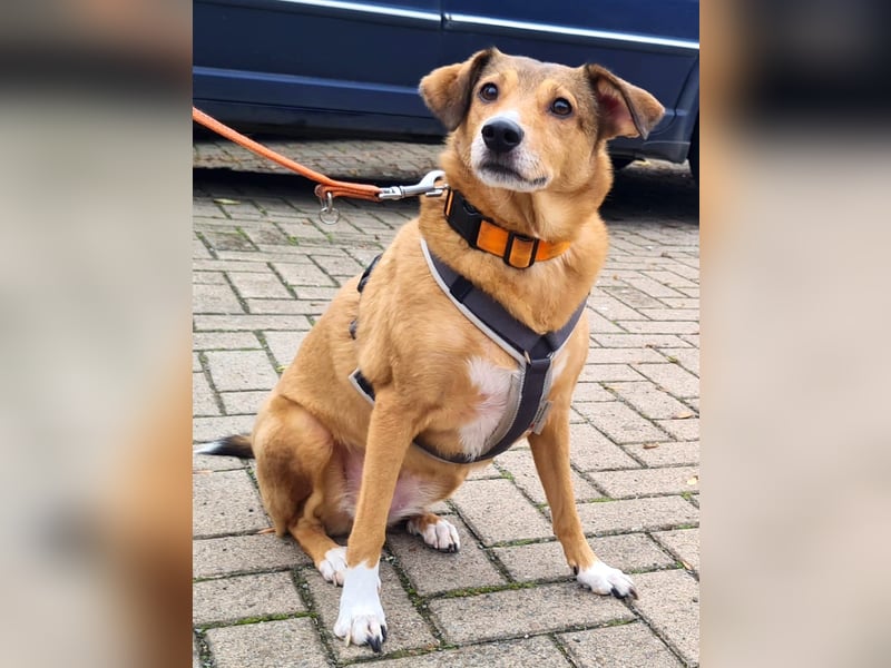 YUMA – eine sensible Seele sucht Vertrauen und Liebe