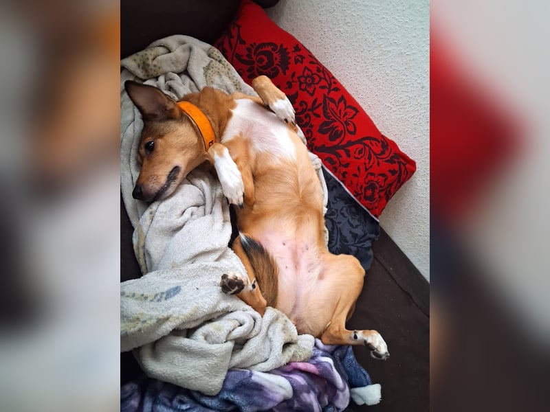 YUMA – eine sensible Seele sucht Vertrauen und Liebe