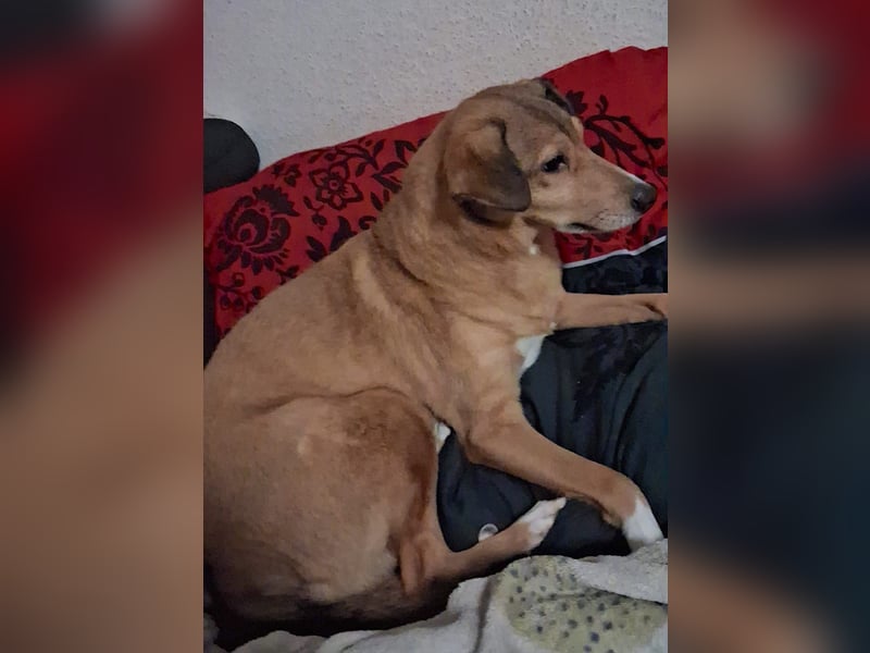 YUMA – eine sensible Seele sucht Vertrauen und Liebe