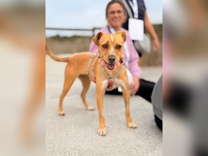 Kleine Melanie sucht ihre Menschen