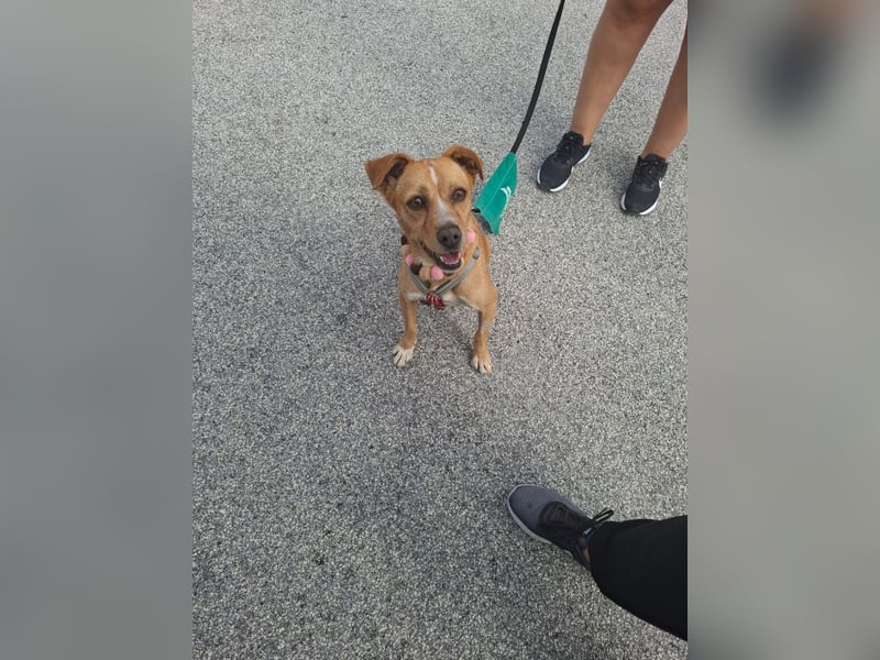 Kleine Melanie sucht ihre Menschen