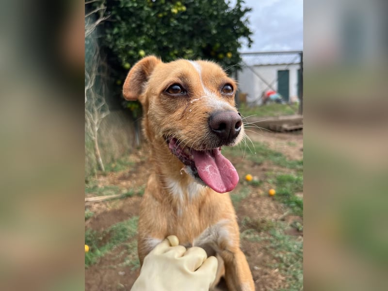 Kleine Melanie sucht ihre Menschen