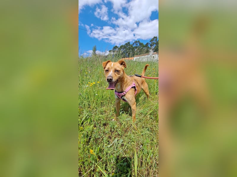 Kleine Melanie sucht ihre Menschen