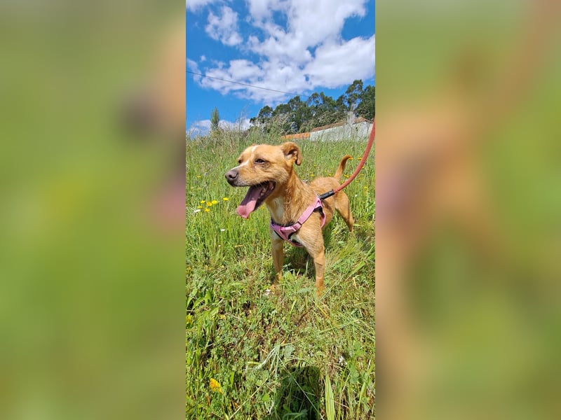 Kleine Melanie sucht ihre Menschen