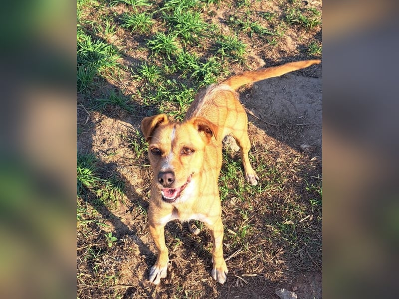 Kleine Melanie sucht ihre Menschen