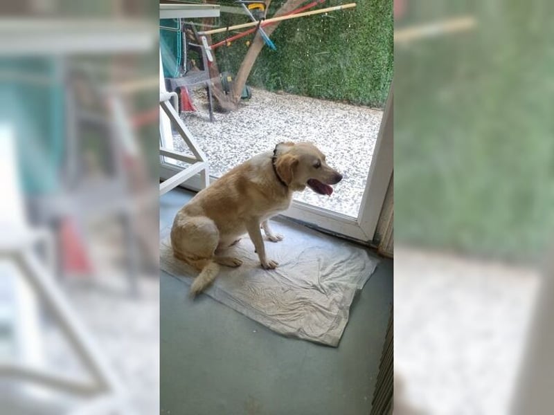 Rosalie hat noch nichts Schönes erlebt und ist trotzdem sehr liebevoll