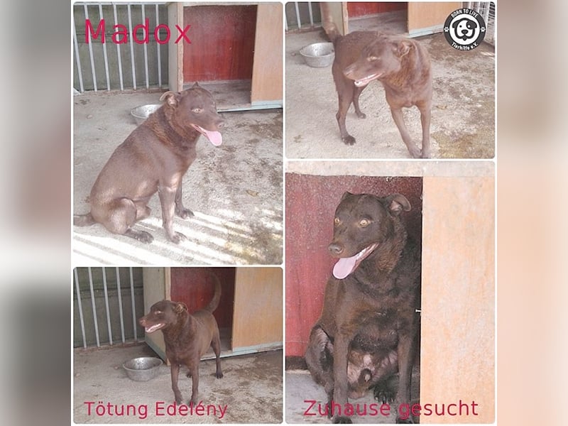 MADOX, Notfall. Sucht erfahren  Menschen