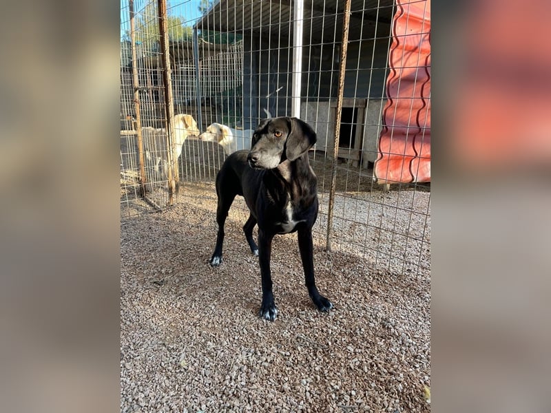 Tammy sucht ein Zuhause