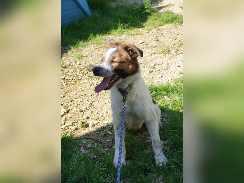 Lia, kleine Kämpferin sucht Zuhause