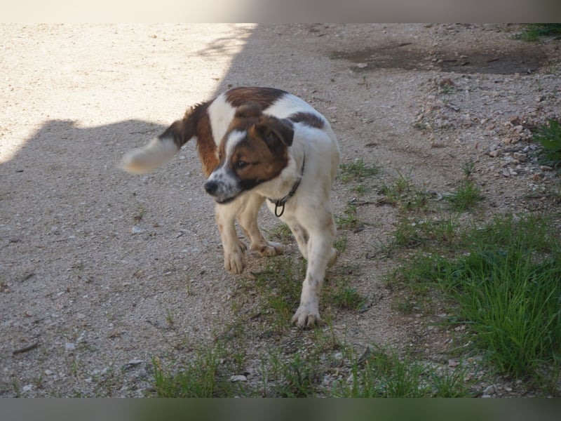 Lia, kleine Kämpferin sucht Zuhause