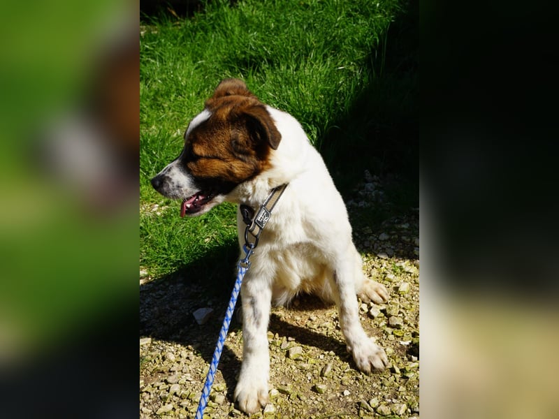 Lia, kleine Kämpferin sucht Zuhause