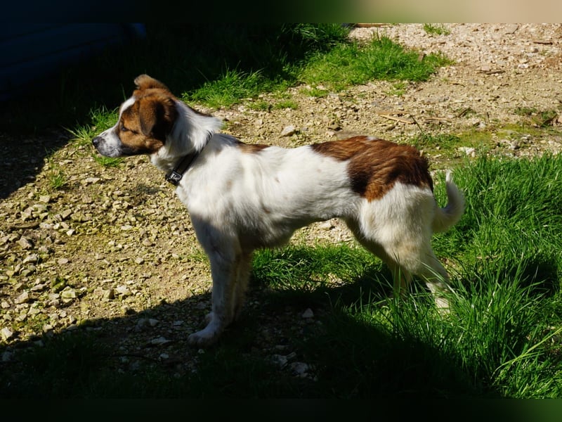 Lia, kleine Kämpferin sucht Zuhause