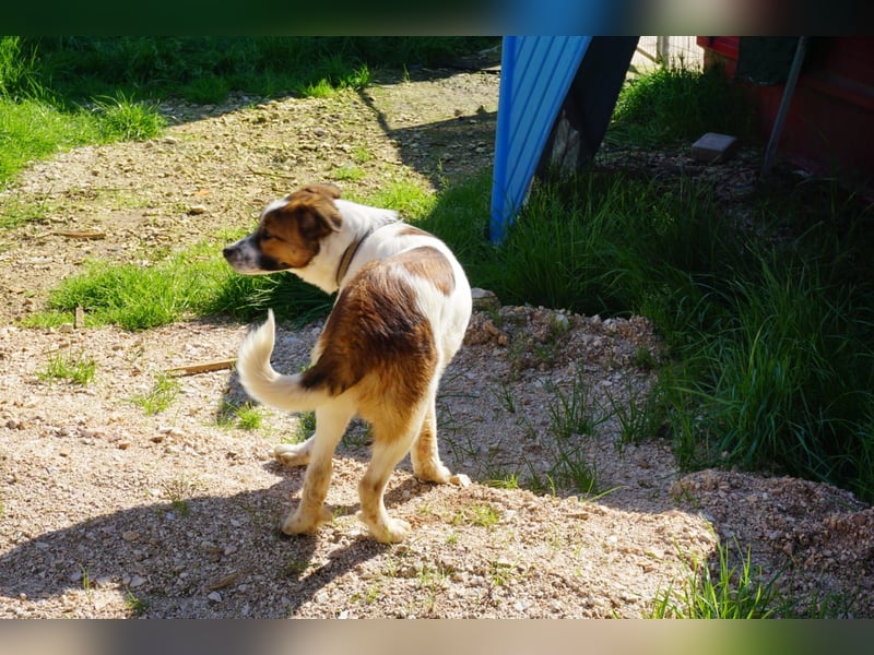 Lia, kleine Kämpferin sucht Zuhause