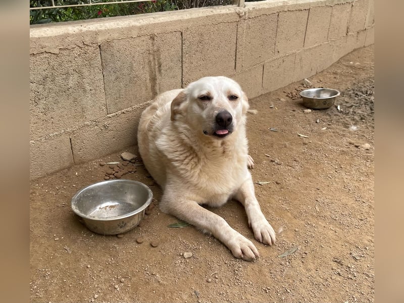 BELLA - wenn der Name Programm ist