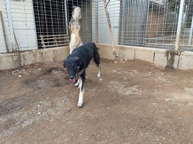 ATMA - Emotionen in schön