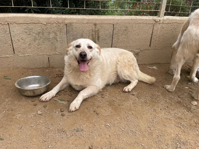 BELLA - wenn der Name Programm ist