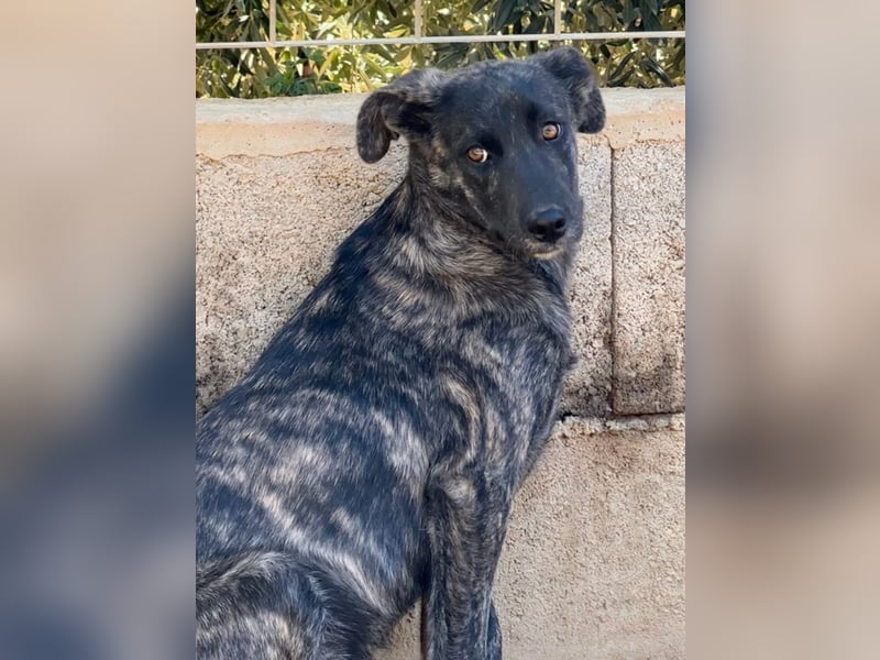 MUFFIN - sie ist noch sehr skeptisch