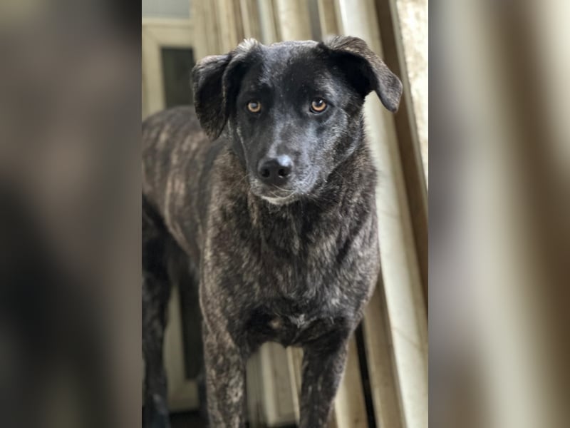 MUFFIN - sie ist noch sehr skeptisch