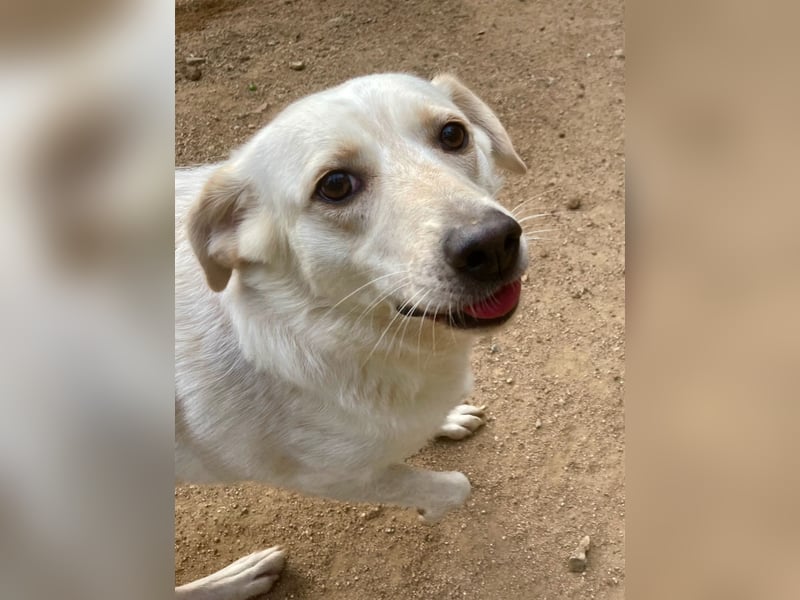 BELLA - wenn der Name Programm ist