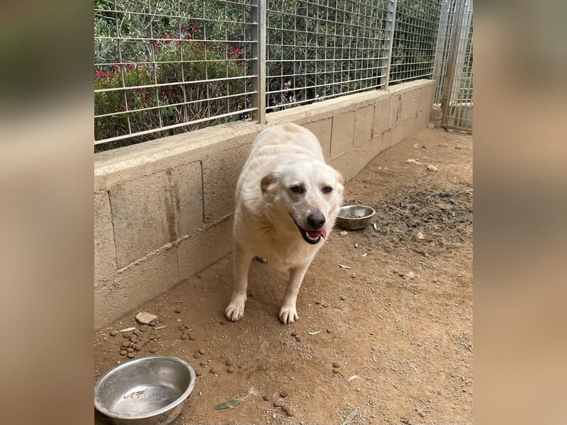 BELLA - wenn der Name Programm ist