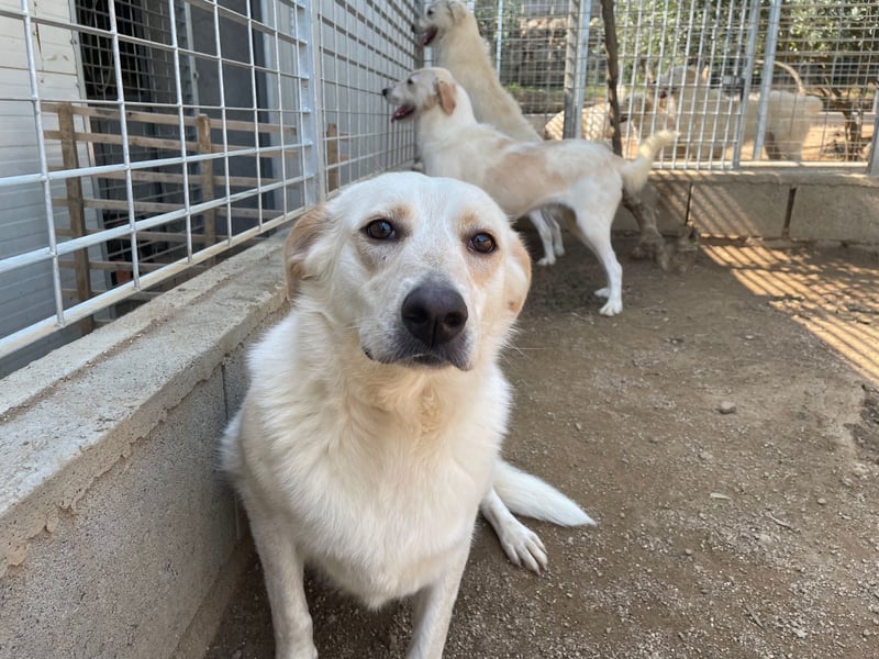 BELLA - wenn der Name Programm ist