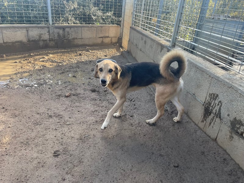 EMMETT - ein toller Kerl EMMETT - ein toller Kerl