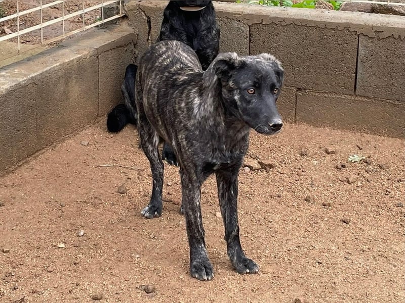 MUFFIN - sie ist noch sehr skeptisch