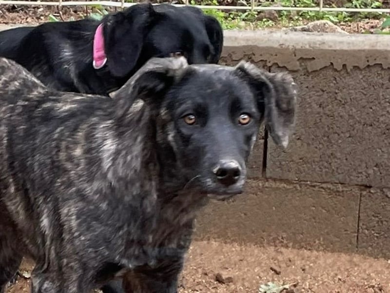 MUFFIN - sie ist noch sehr skeptisch