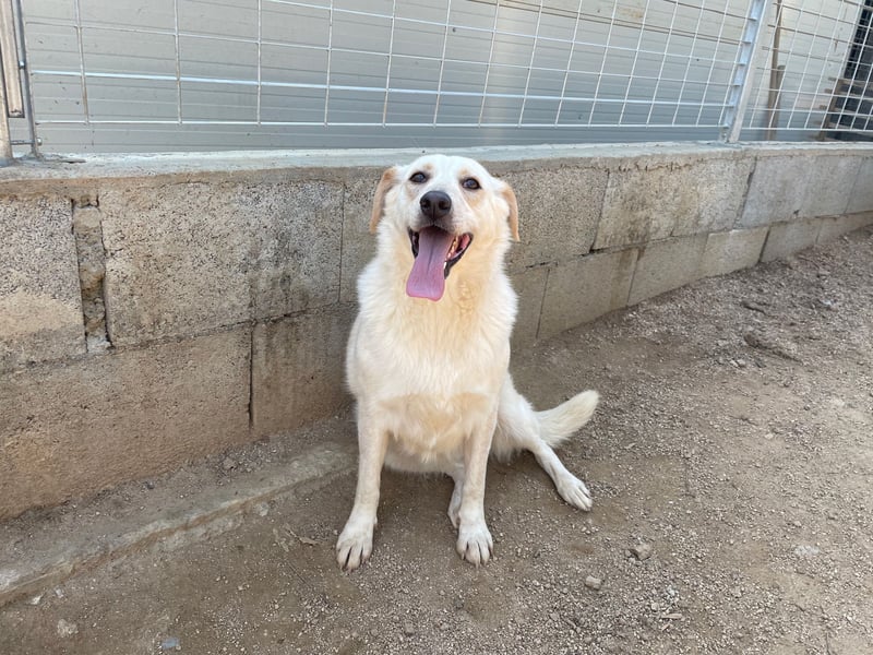 BELLA - wenn der Name Programm ist