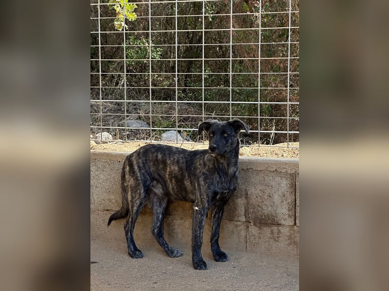 MUFFIN - sie ist noch sehr skeptisch