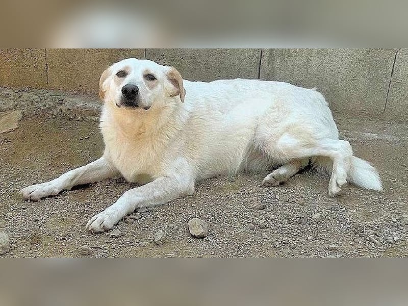 BELLA - wenn der Name Programm ist