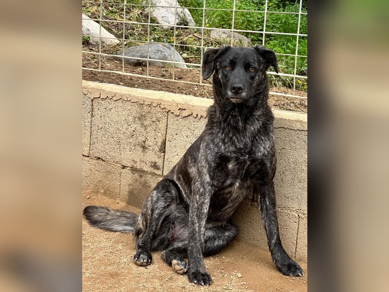 MUFFIN - sie ist noch sehr skeptisch