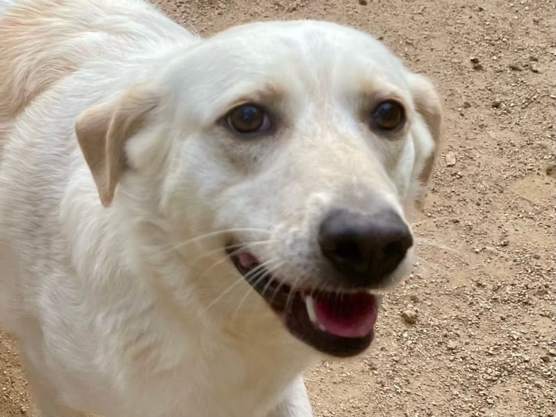 BELLA - wenn der Name Programm ist