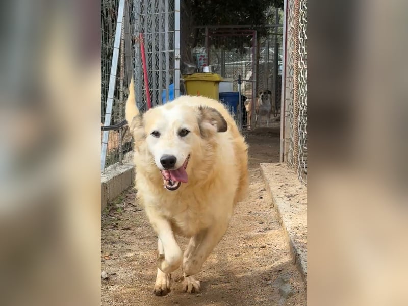 BRUNELLA - lieber Rohdiamant