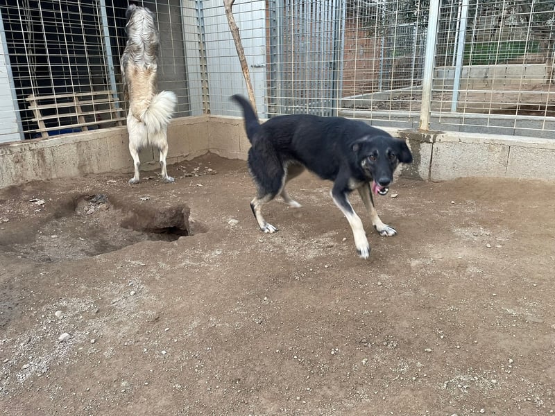 ATMA - Emotionen in schön