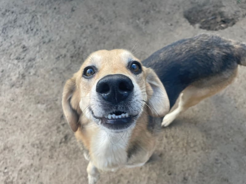 EMMETT - ein toller Kerl EMMETT - ein toller Kerl