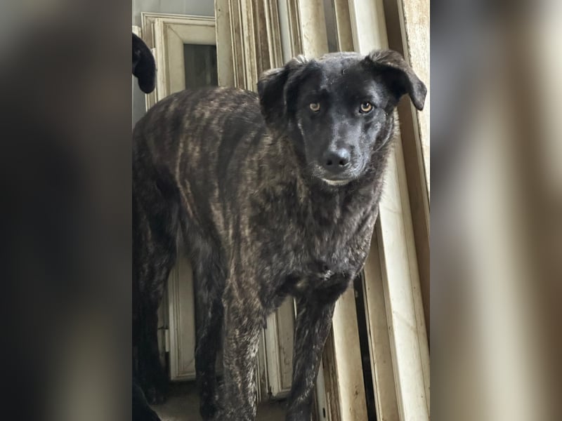 MUFFIN - sie ist noch sehr skeptisch