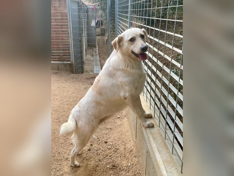 BELLA - wenn der Name Programm ist