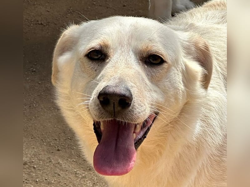 BELLA - wenn der Name Programm ist