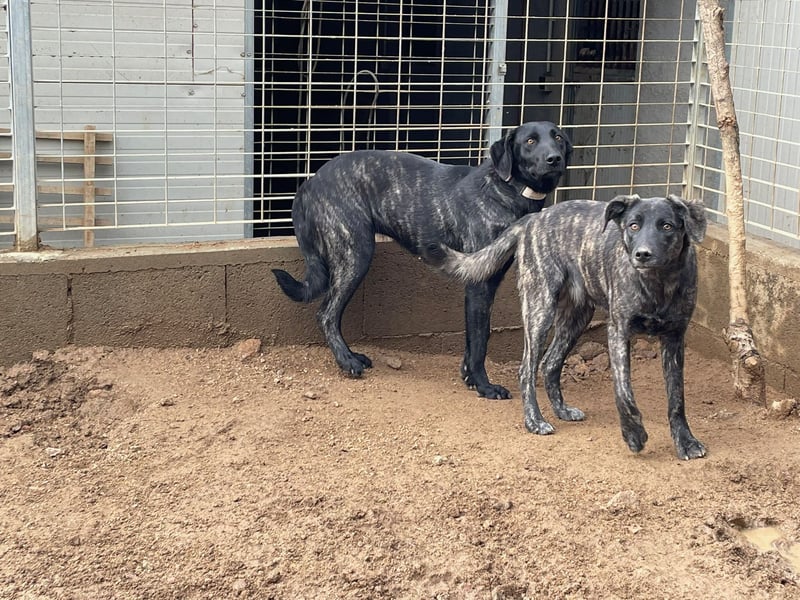 MUFFIN - sie ist noch sehr skeptisch