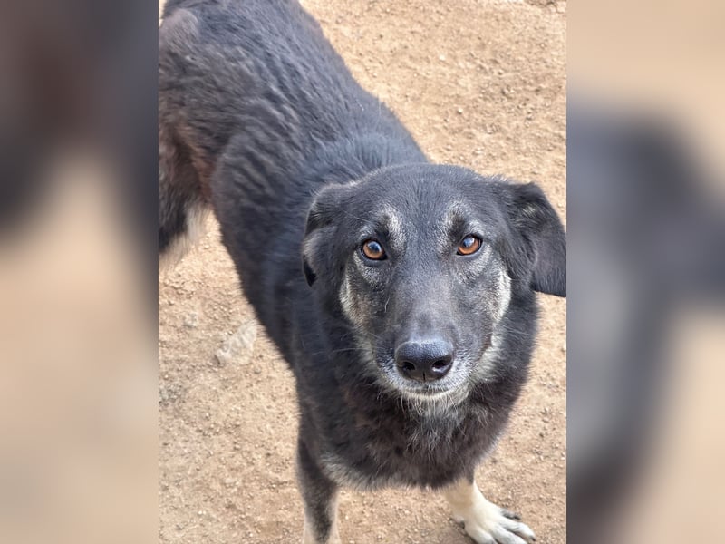 ATMA - Emotionen in schön