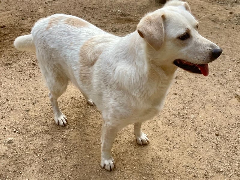 BELLA - wenn der Name Programm ist