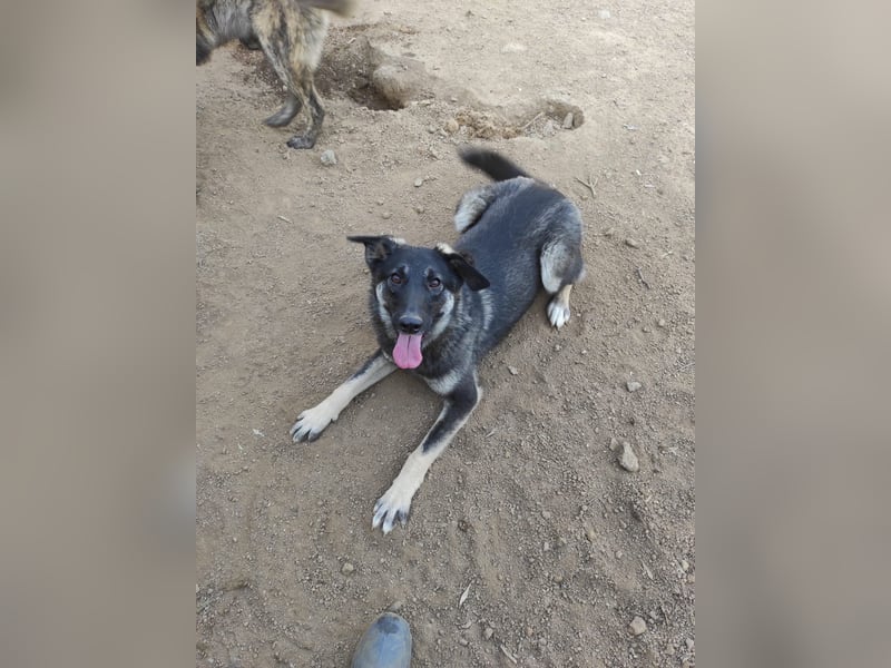 ATMA - Emotionen in schön