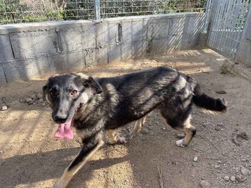 ATMA - Emotionen in schön