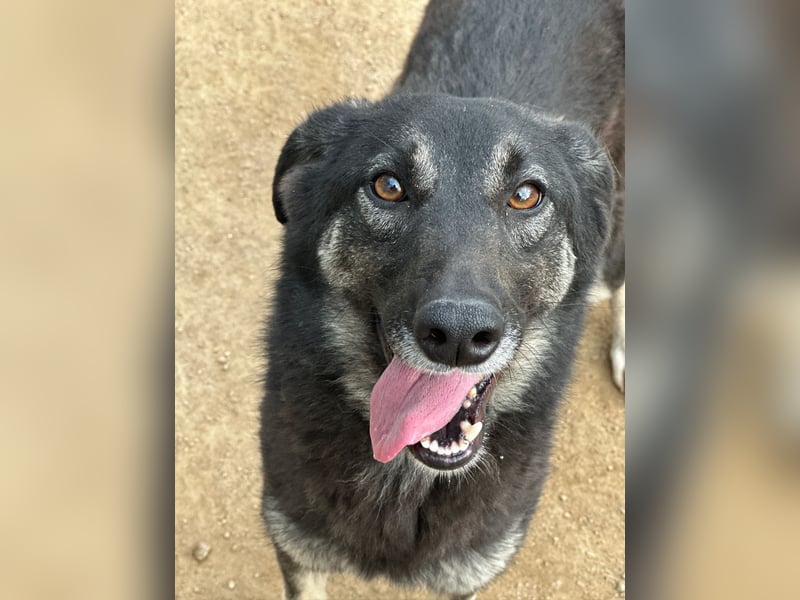 ATMA - Emotionen in schön