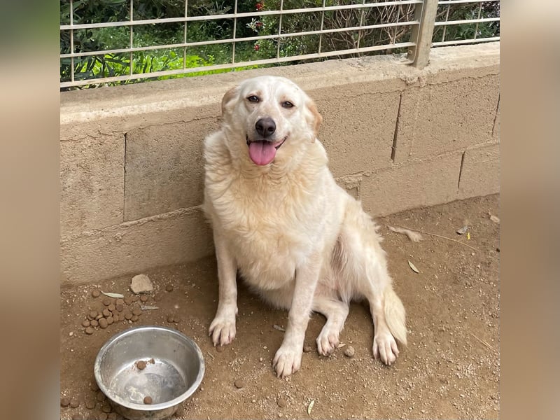 BELLA - wenn der Name Programm ist