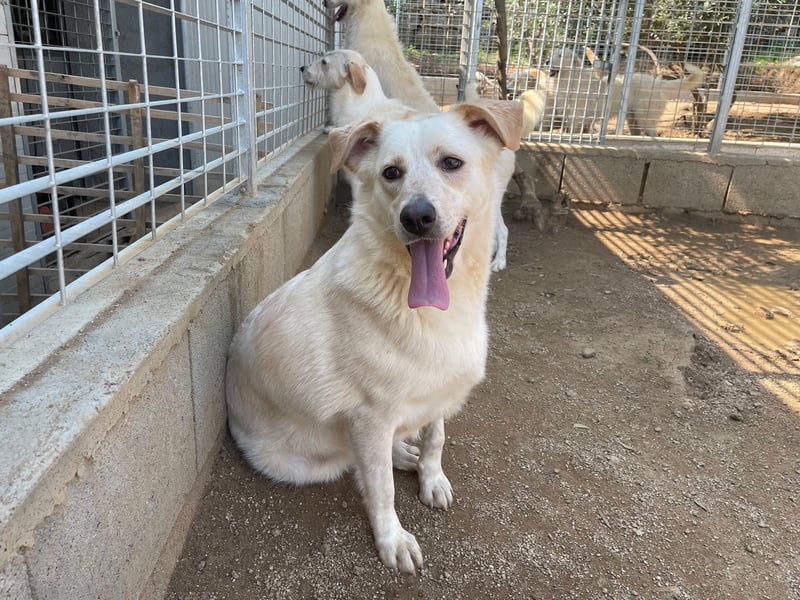 BELLA - wenn der Name Programm ist