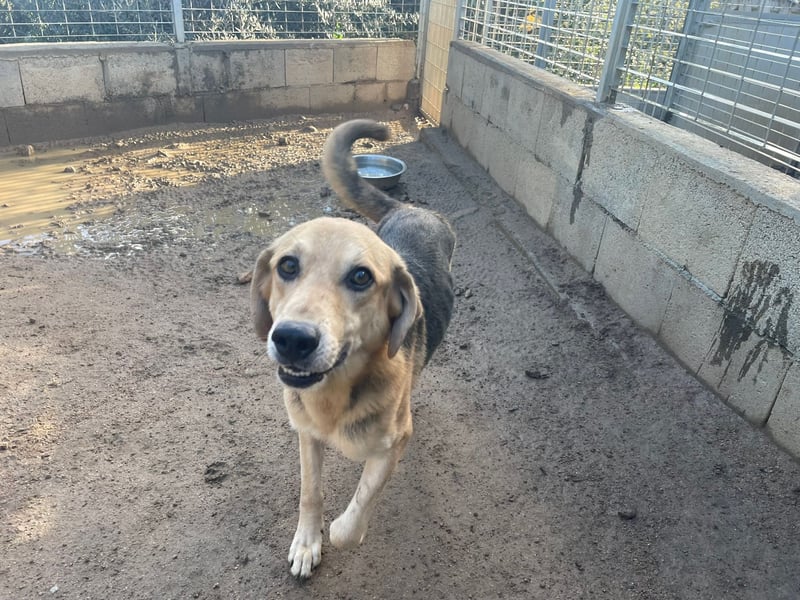 EMMETT - ein toller Kerl EMMETT - ein toller Kerl