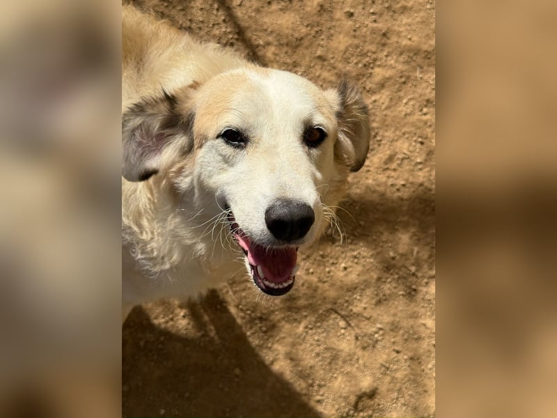 BRUNELLA - lieber Rohdiamant