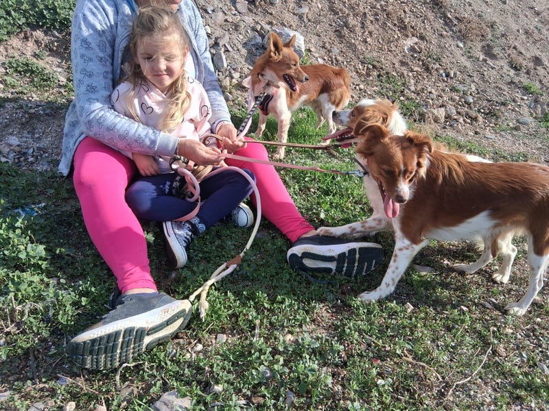 Miko sucht eine liebevolle Familie